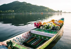 Shikara in Dallake Kashmir