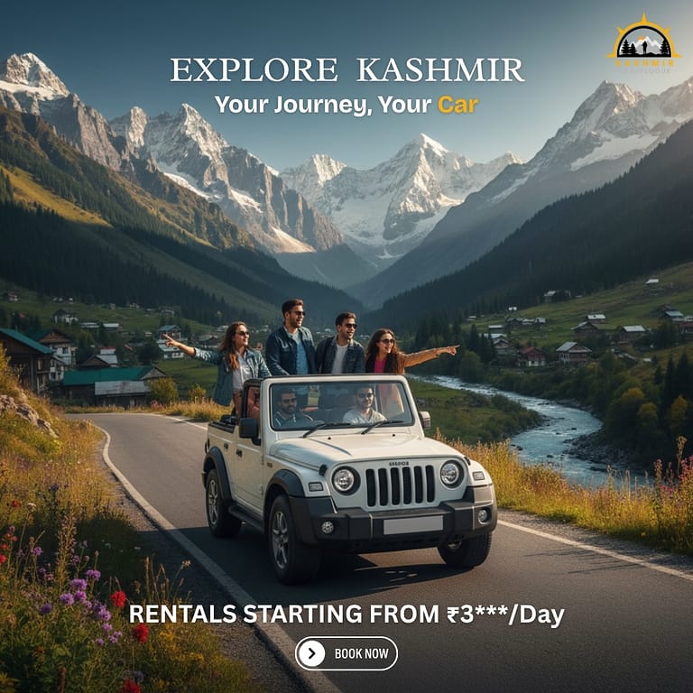People enjoying there self drive car rentals in srinagar kashmir, from kashmir travelogue.